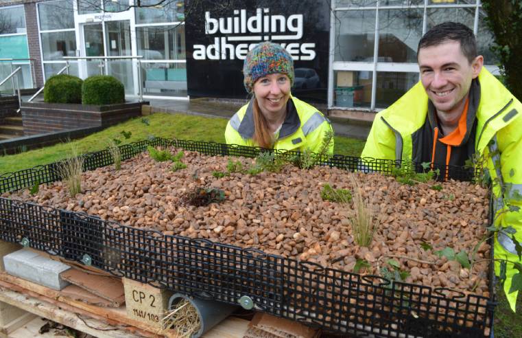 Building Adhesives Ltd creates insect hotel for sustainability and biodiversity 